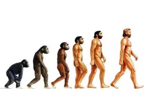 標致也換LOGO了？看著真“標致”！