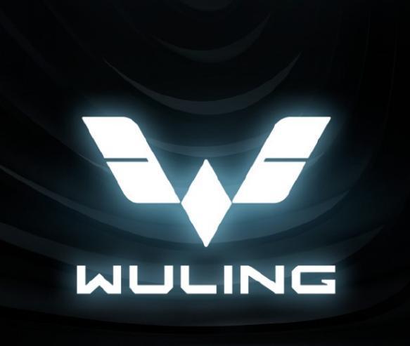 你的神車(chē)LOGO換色了！上路別認(rèn)錯(cuò)了，五菱全新銀標(biāo)亮相