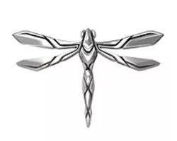 造車新勢力車標大集合，你能認全算我輸！