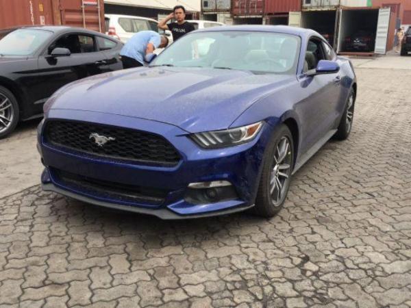 用馬做車標(biāo)的四種車：較后一個和前面三個差距不是一般的大