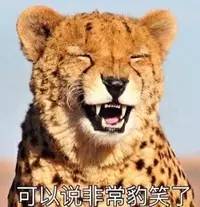 10萬的車偷偷改成100萬的車標我能理解，但200萬的跑車硬是改成山寨車標到底是圖個啥？