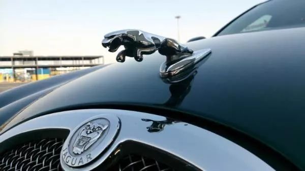 這些立體車標(biāo)，見過3個(gè)以上你就是絕對的壕！