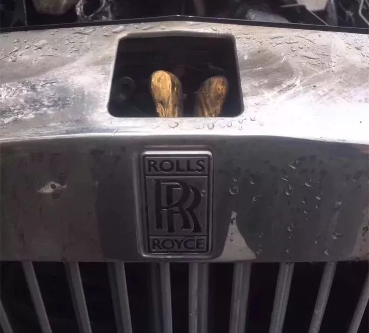 這些立體車標(biāo)，見過3個(gè)以上你就是絕對的壕！