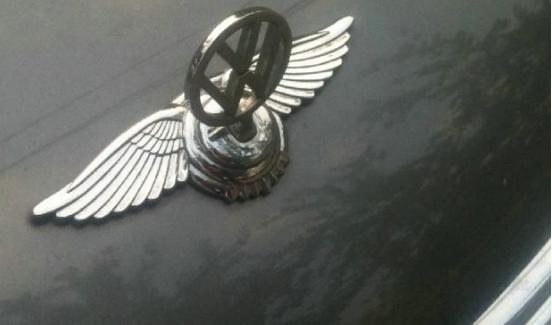 看車標你能判斷這是什么車嗎？已被車主玩壞