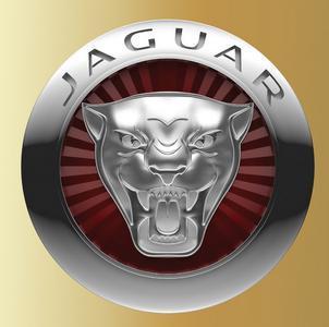 這些車標(biāo) 你知道幾個(gè)？