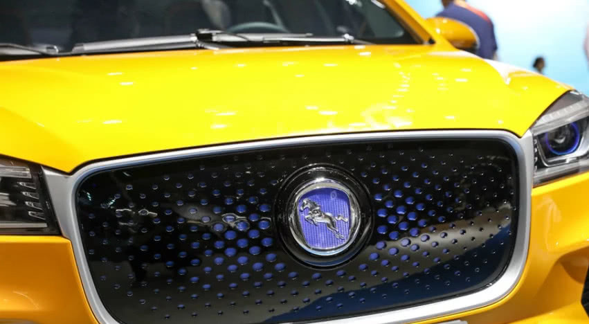 國內外5個新能源車標，認出3個剛及格，認完才算老司機