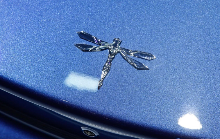 國內外5個新能源車標，認出3個剛及格，認完才算老司機