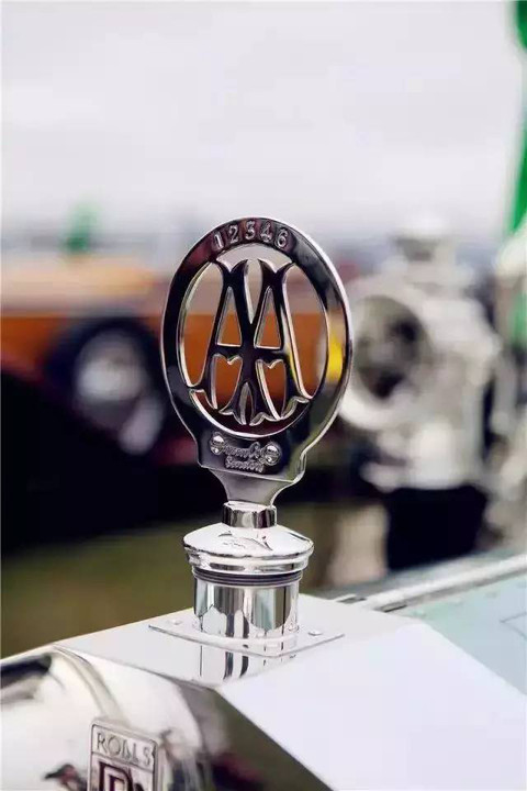 這些立體車標，見過3個以上就很了不起！