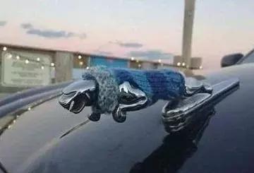 你見過哪些搞笑的車標(biāo)改裝？網(wǎng)友：較服那個穿著衣服的車標(biāo)！