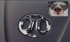 國內(nèi)最丑的車標(biāo)，設(shè)計(jì)師真的