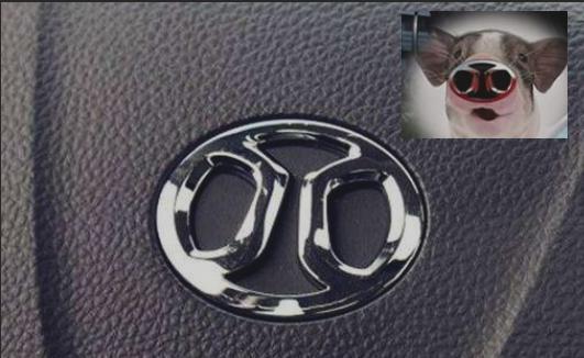 國(guó)內(nèi)較丑的車(chē)標(biāo)，設(shè)計(jì)師真的很有"才"