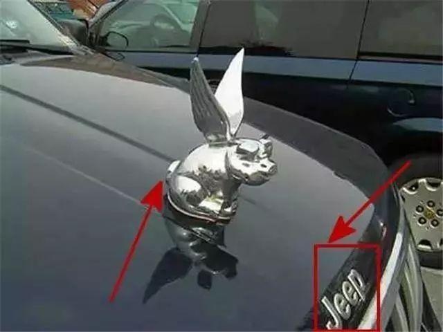 私改車(chē)標(biāo)屬于非法改裝，這些奇葩車(chē)標(biāo)遇見(jiàn)交警，就等著罰吧！