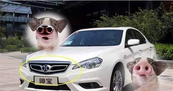 外媒評出的全球十大較丑車標(biāo)，國產(chǎn)品牌近半數(shù)，嚇哭小朋友