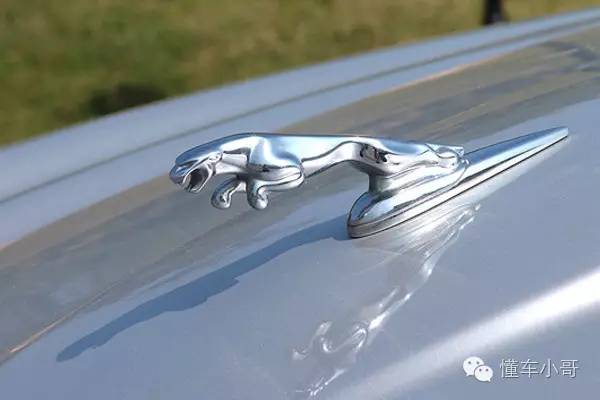 偷個標判十年天價車標有多貴？