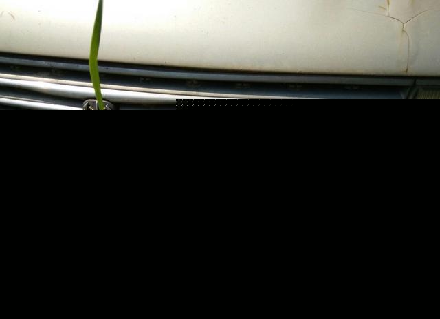 草叢里的一輛廢棄豪車無人認(rèn)領(lǐng)，認(rèn)識這個車標(biāo)的都是有故事的人