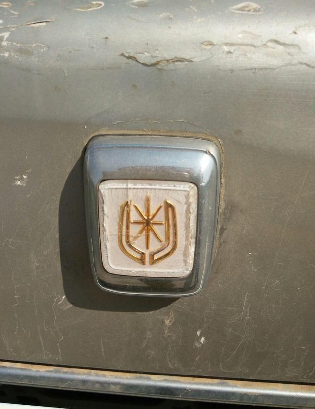 草叢里的一輛廢棄豪車無人認(rèn)領(lǐng)，認(rèn)識這個車標(biāo)的都是有故事的人