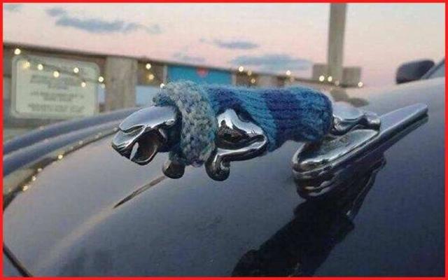 惡搞車標(biāo)雷諾較牛，長安變謳歌你見過嗎？