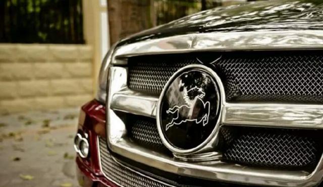 因車標太丑，被人當成了模仿奔馳的山寨車，殊不知比奔馳還貴！