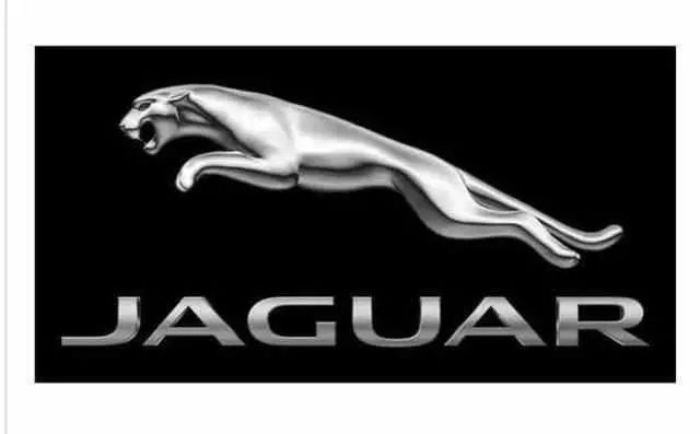 14個車標都是動物, 80%以上人養不起! 90%以上人買不起!