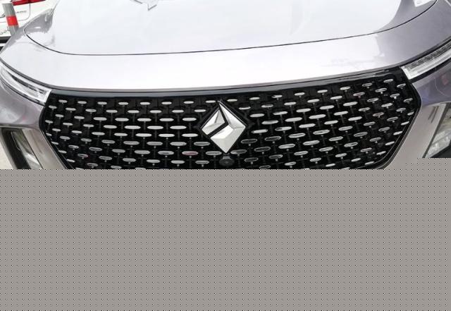 4個國產車換車標了！紅旗很耀眼，寶駿較有檔次，看到別不認識了