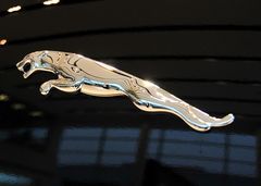 以“動物”作為車標的9大汽車品牌，認識一半的就是老司機！