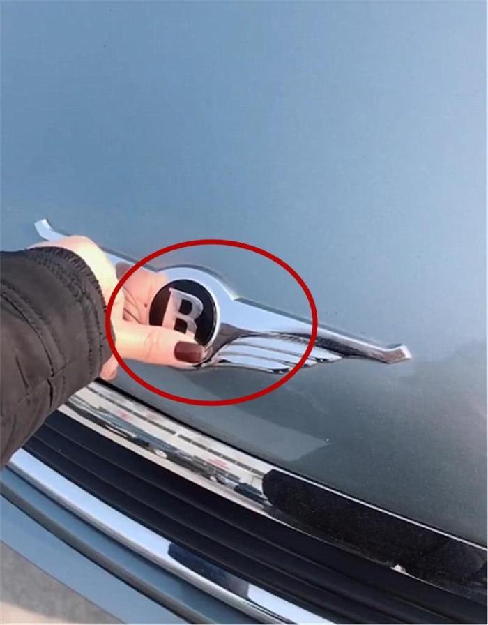 偶遇一輛車標像賓利的國產車, 網友: 集勞斯萊斯跟賓利設計的!