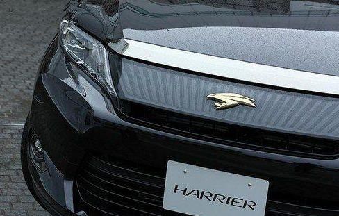 豐田全新漢蘭達來了！換上新車標僅14萬起，網友：太霸氣了