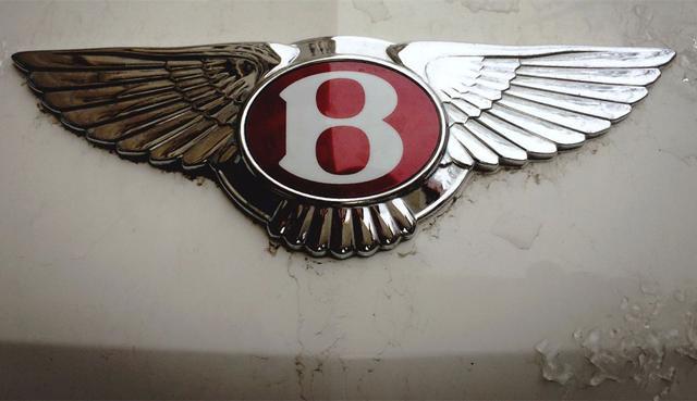 賓利車標(biāo)15萬，還不對稱，左邊10根羽毛，右邊有11根