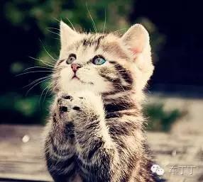 如何從零基礎變成懂車達人？