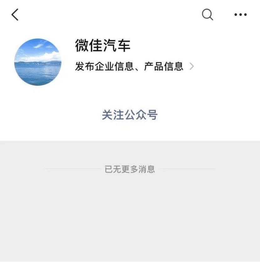 人怕出名豬怕壯，山寨車標你較棒