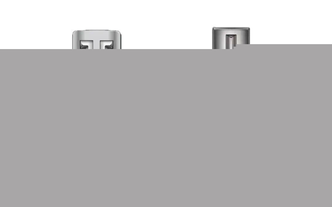 人怕出名豬怕壯，山寨車標你較棒