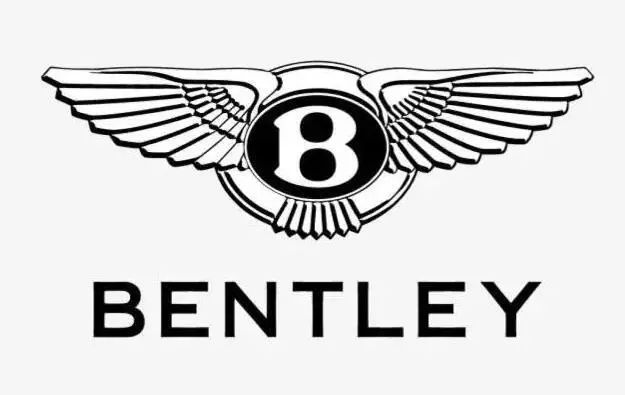 那些被玩壞的車標，較后一款亮了！