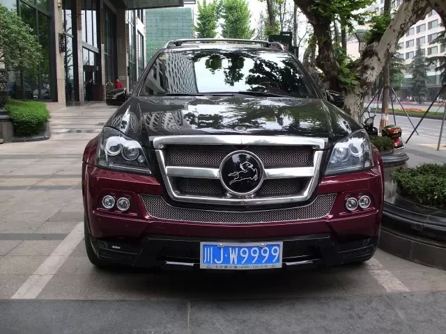 偶遇一輛SUV，車牌4個9，車標是只馬，但是很多人都不認識？