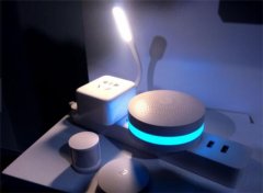 董明珠完成造車夢，車標五個