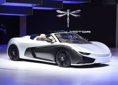 以「蜻蜓」做車標、純電動超