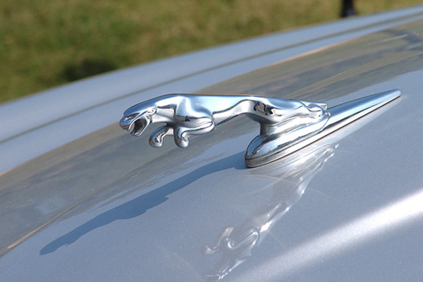 偷個標=判10年 天價車標有多貴？