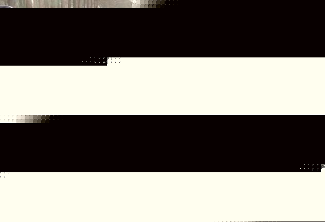 藍標(biāo)敞篷賓利，車內(nèi)有7個儀表盤，是車主生日時男友送的