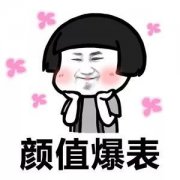 吉利換標，寶駿換標，奔騰也