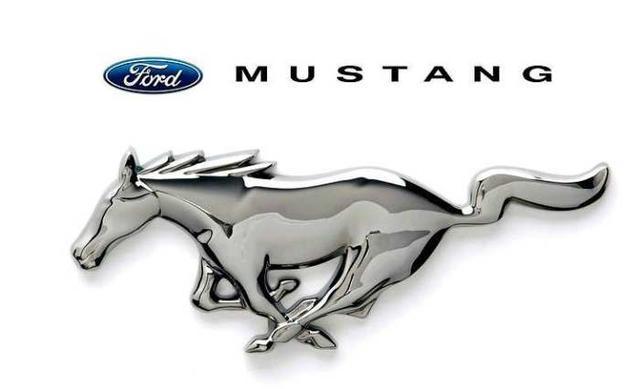 世界五大用馬做車標的品牌，中國獨占兩席，苐yi竟不是法拉利！