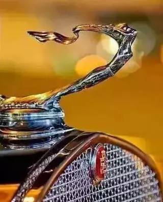 認識3個以上算大神！超罕見的豪車立體車標合集