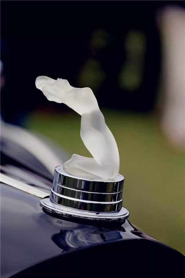 認識3個以上算大神！超罕見的豪車立體車標合集