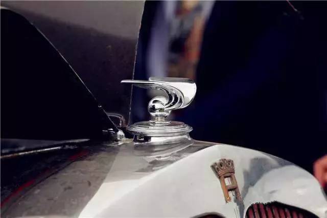 認識3個以上算大神！超罕見的豪車立體車標合集