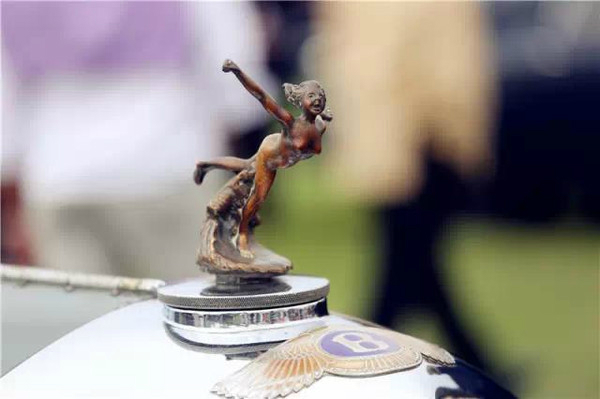 認識3個以上算大神！超罕見的豪車立體車標合集