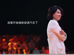 董明珠造的格力汽車上市 車標